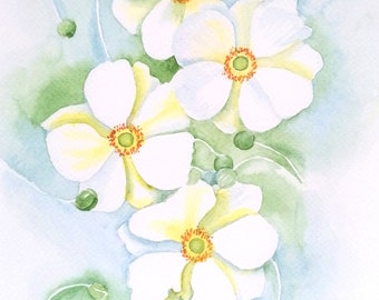 White Anemone Flower Print, Flower Giclee Print FSC Certified Botanical Print. ANEMONE FLOWERS a Watercolour Art Print by Geetapatelfineart.