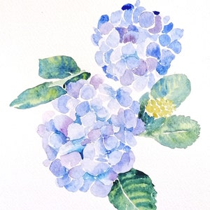 Flower Original Watercolour Painting of Couple of Blue Hydrangea Blossoms, by Geetapatelfineart. A Floral Botanical Home Decor.