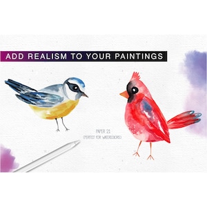 May include: Watercolor painting of a bluebird and a cardinal on a white background. The text "PAPER 21 (PERFECT FOR WATERCOLORS)" is below the birds.