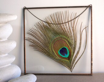 Peacock Decor Etsy