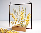 Real pressed mimosa Yellow flower frame Mother 39 s day gift Spring flower Square stain glass frame Spring wall decor Yellow floral room decor