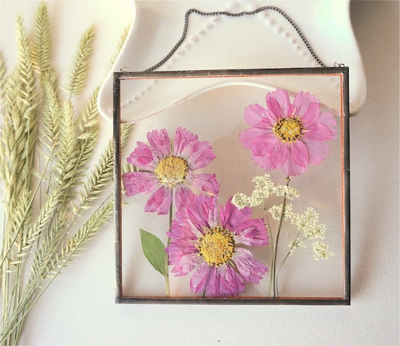Real pressed pink cosmos flower Stain glass 5x5 frame Mom from | Etsy