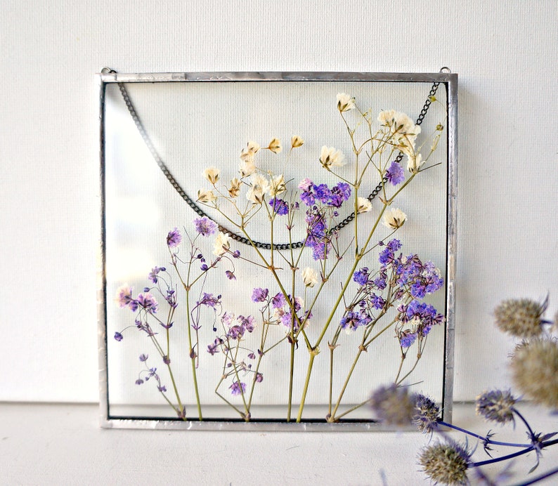 Real pressed baby's breath flower frame Dried flower glass | Etsy
