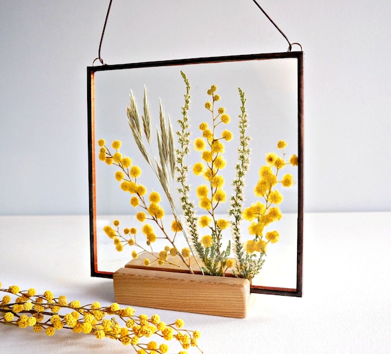 Real pressed mimosa Yellow flower frame Mother's day gift Spring flower Square stain glass frame Spring wall decor Yellow floral room decor