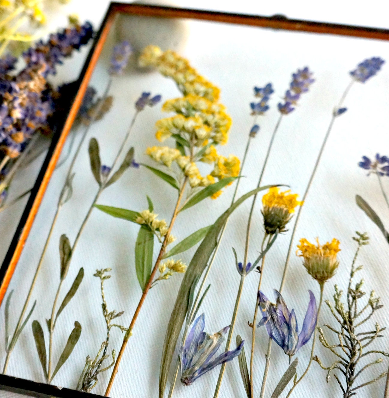 Dried lavender Pressed flower frame Yellow wildflowers Meadow Etsy