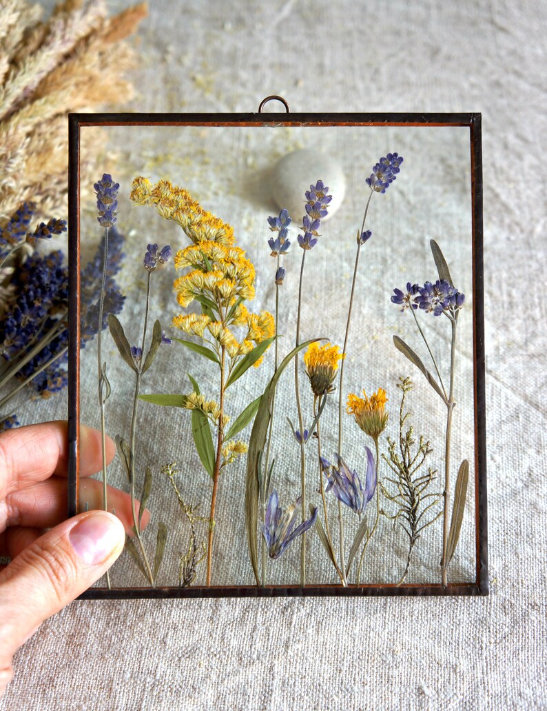 Dried lavender Pressed flower frame Yellow wildflowers Meadow Etsy