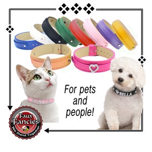 May include: A collection of colorful pet collars in various shades, including blue, white, black, green, red, pink, purple, and yellow. The image also features a cat and a dog wearing collars, with the text "For pets and people!"
