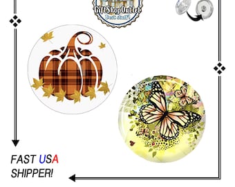 FALL CABOCHON Snap Buttons, Butterfly snap Charms, Pumpkin Ginger Snap, Fall Charms, #ButterflySnap, Thanksgiving Charm, #PumpkinCharm