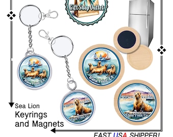 Dana Point SEA LION Handmade Keyring, SEA LiON Magnet, Refrigerator Magnet, Sea Lions, #DanaPointMagnet, #SeaLionKeyring, #SeaLionGift