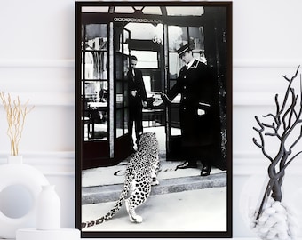 Panther in the Jewelry Shop Poster, Cheetah Print, Black and White Vintage Photography Fashion Print, 1950 Wall Art Poster, Digital download