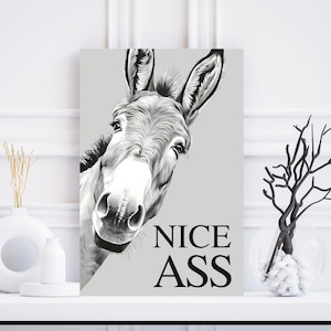 May include: Black and white donkey portrait art print with the text "NICE ASS" in a bold, black font. The artwork is displayed on a light gray background. The print is displayed on a white shelf with decorative vases.