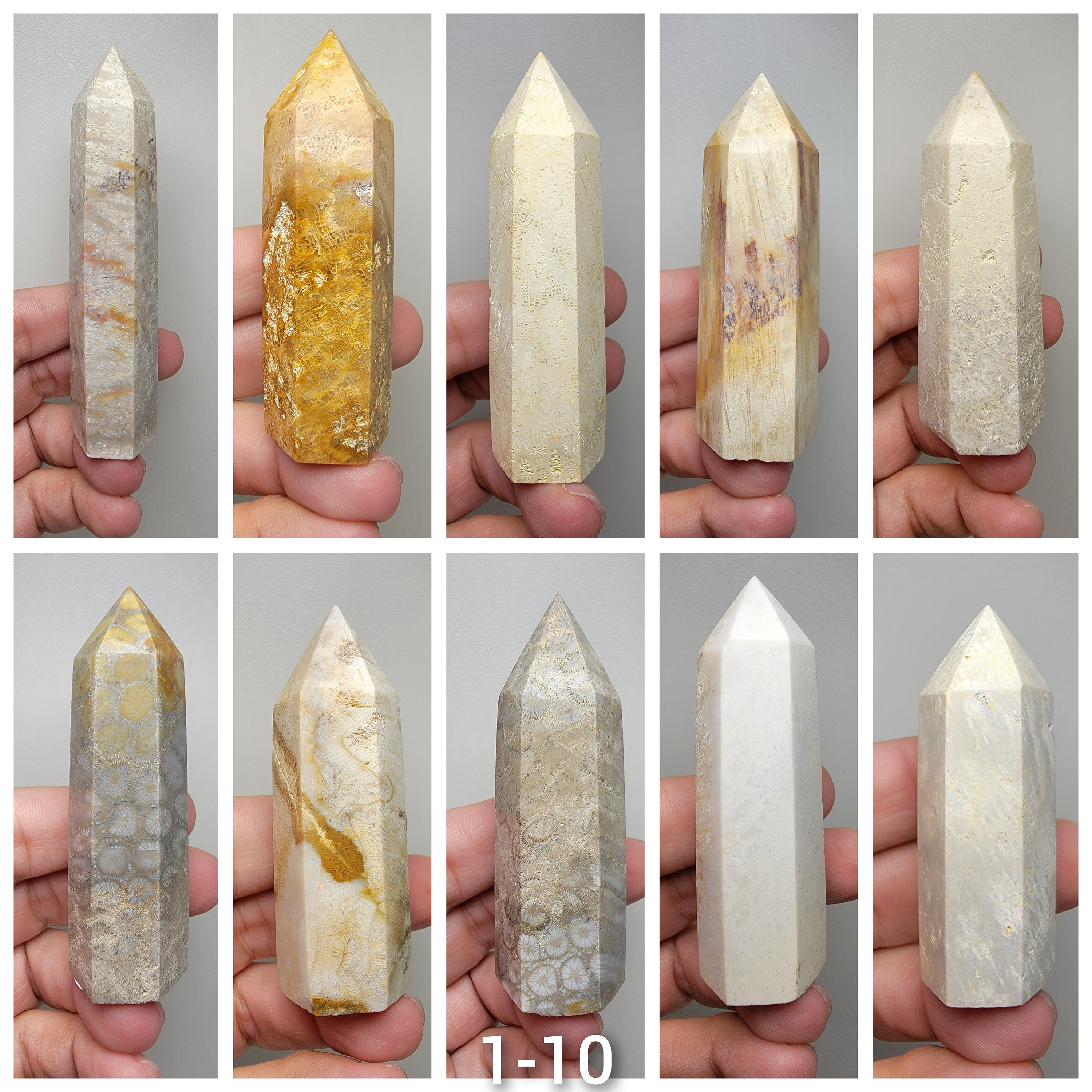 Fossil Coral Tower (you Choose) - Etsy