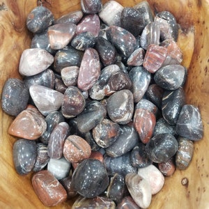 Petrified Wood Tumble