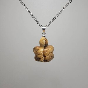 Picture Jasper Turtle