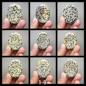 May include: Nine close-up images of a smooth, oval-shaped dalmatian jasper stone. The stone is a light beige color with black spots.