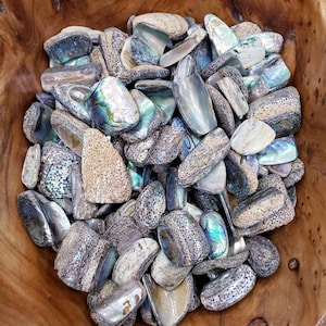 May include: A bowl filled with iridescent abalone shell pieces. The shells are various shapes and sizes, with some having a rough, textured surface.