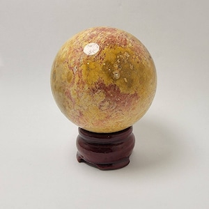 Fossil Coral Sphere (65.5 mm)
