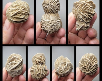 May include: Seven desert rose formations, also known as sand roses, in various sizes and shapes. The formations are made of gypsum crystals and have a light brown color.