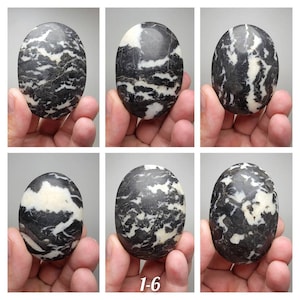 Zebra Marble Palm Stone (You pick) (Commonly called Zebra Jasper)