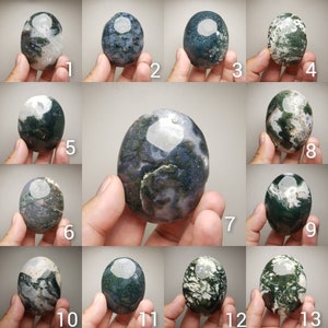 Moss Agate Palm Stone (You pick)