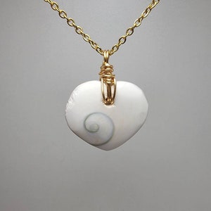 Shiva Eye Shell