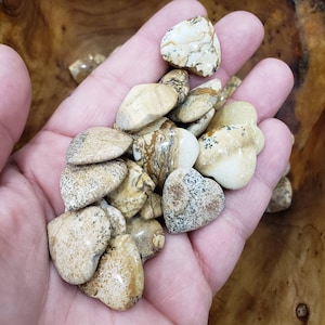 Thin Picture Jasper Heart (13/16&quot;)