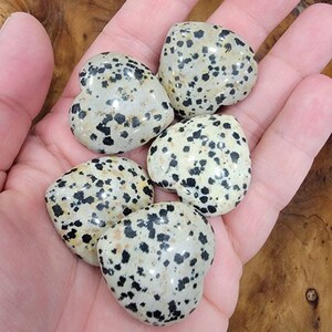 Dalmatian Stone Heart (1-3/16&quot;)