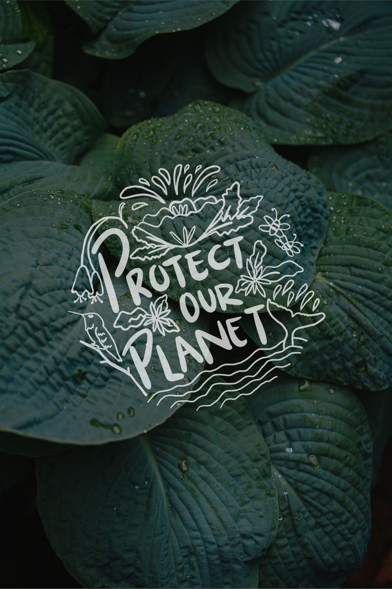 May include: White hand-drawn lettering on a dark green background of leaves reads "Protect Our Planet". The lettering is surrounded by stylized flowers, a bird, and wavy lines.