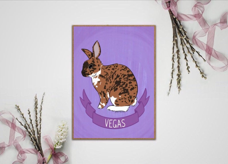 Custom Rabbit Portraits Personalized Pet cartoon