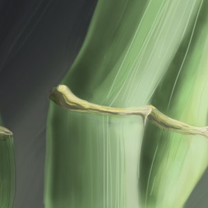 BAMBOO Digital Still Life | Digital Art | Plant Art | Observational | Digital Print ONLY