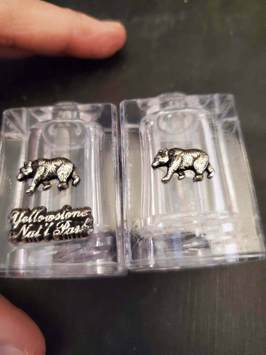 Vintage Clear Plastic Lucite Yellowstone National Park Salt and Pepper