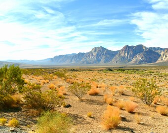 8 x 10 Druck von Nevada Red Rock Conservation Area Las Vegas Nevada
