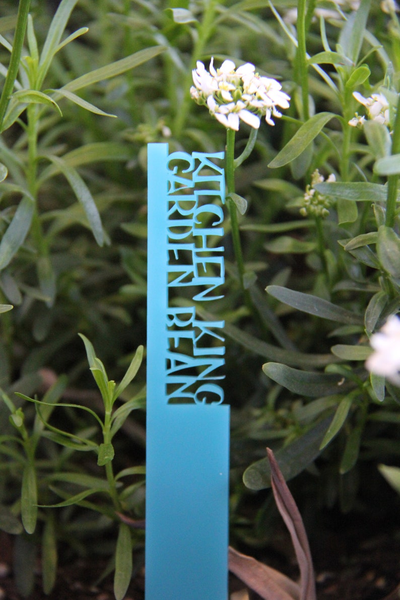 Plant Name Stakes 12 Color Options Mother's Day Gift Etsy