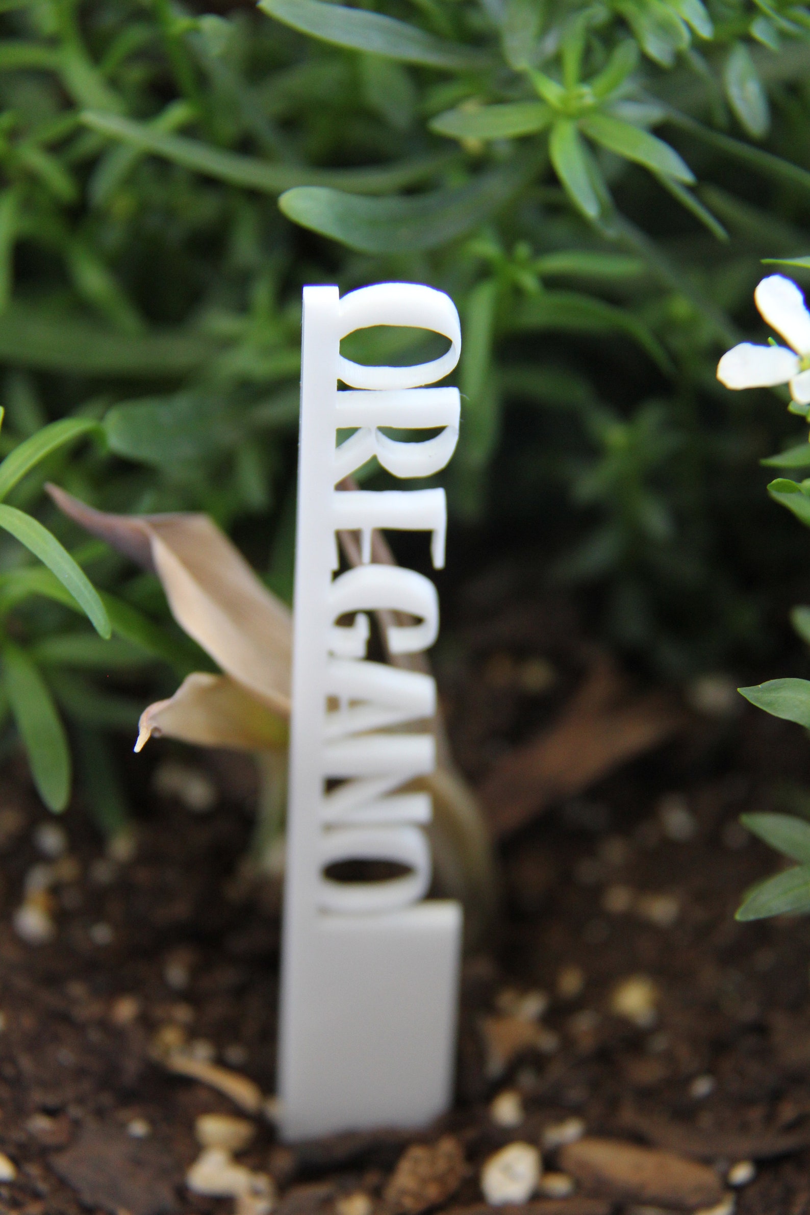 Plant Name Stakes 12 Color Options Mother's Day Gift Etsy