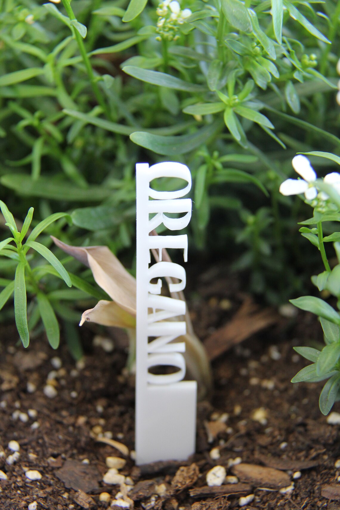 Plant Name Stakes 12 Color Options Mother�s Day Gift Etsy