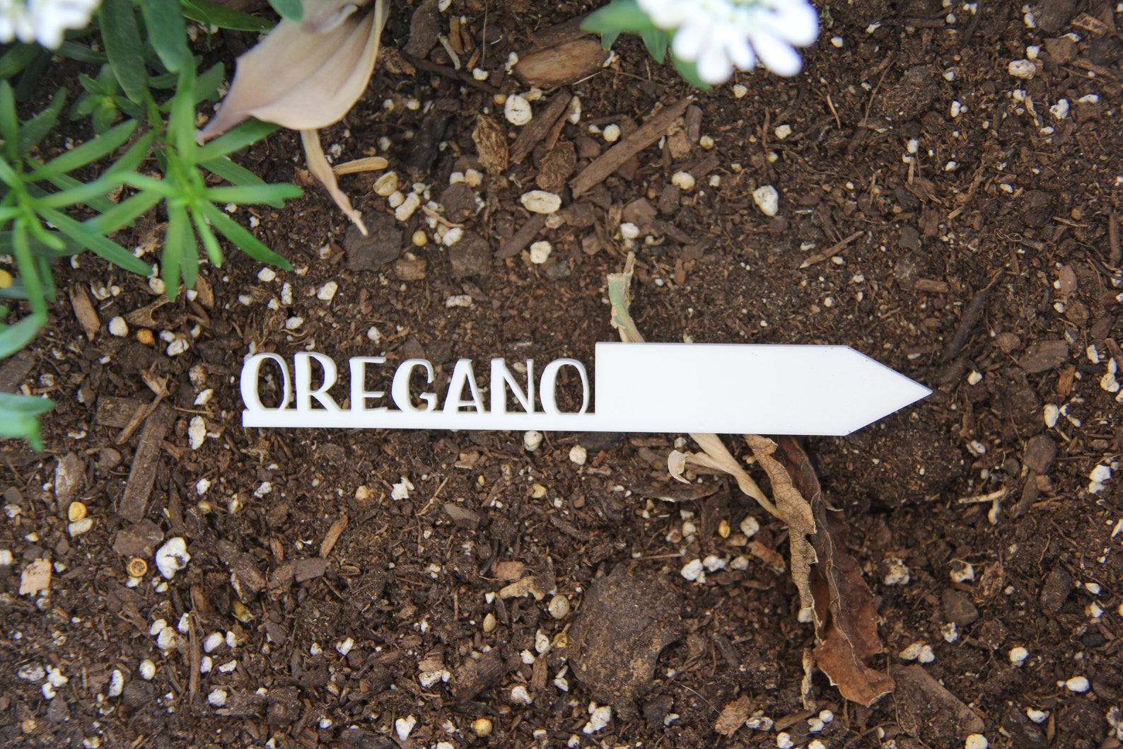 Plant Name Stakes 12 Color Options Mother's Day Gift Etsy