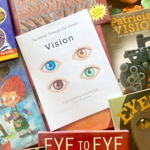 May include: A collection of books with titles related to vision and eyes. The central book, "Vision," features illustrations of eyes with different colored irises. Other books include "Eye to Eye" and "Patricia Vision."