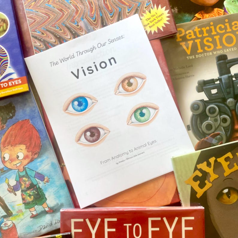 May include: A collection of books with titles related to vision and eyes. The central book, "Vision," features illustrations of eyes with different colored irises. Other books include "Eye to Eye" and "Patricia Vision."