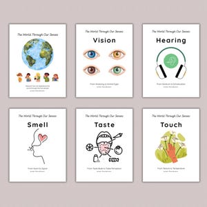 May include: Six educational posters titled "The World Through Our Senses." Each poster features a different sense: vision, hearing, smell, taste, and touch. The vision poster shows eyes, the hearing poster shows headphones, and the smell poster shows a nose.