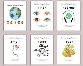 Paquete de estudio de los 5 sentidos / Currículo completo de ciencias del cuerpo humano / Actividades prácticas para la vista, el oído, el olfato, el gusto y el tacto.