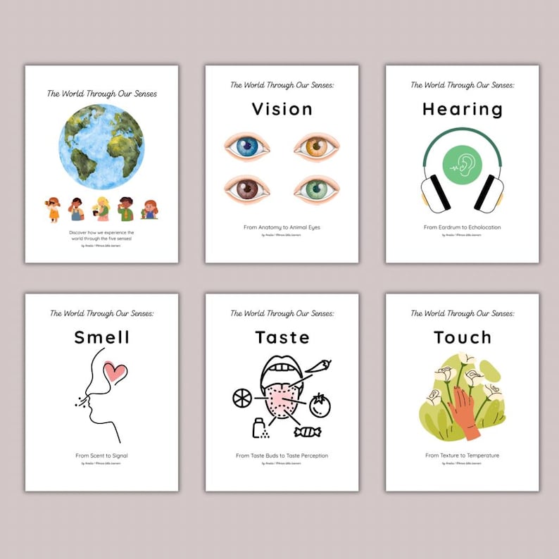 May include: Six educational posters titled "The World Through Our Senses." Each poster features a different sense: vision, hearing, smell, taste, and touch. The vision poster shows eyes, the hearing poster shows headphones, and the smell poster shows a nose.