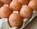 EGG STAMP, Chicken EGG Stamp, Egg Stamps, Custom Egg Stamp, Egg Labels, Mini Egg Stamp, Farm Stamp, Eggs Stamp, Fresh Egg Stamp 