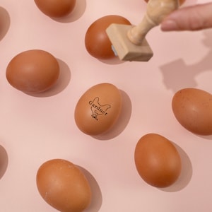 Puede incluir: Primer plano de huevos marrones sobre una superficie rosa. Un huevo est&aacute; estampado con un logotipo en blanco y negro que dice "Gardner Farms" y presenta una silueta de pollo.
