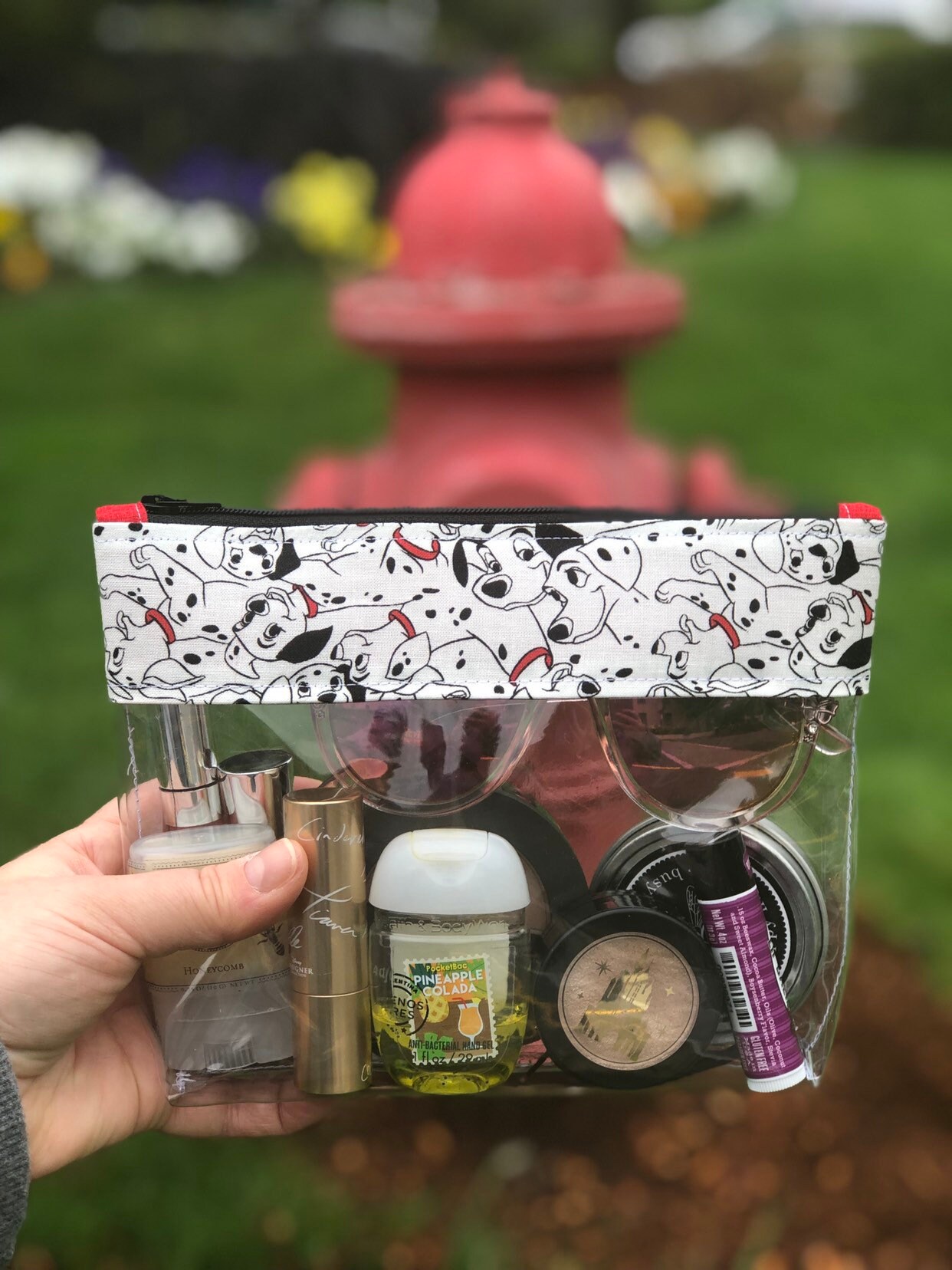 Park Essentials Bag 101 Puppers / TSA Bag / Mask Bag / Etsy