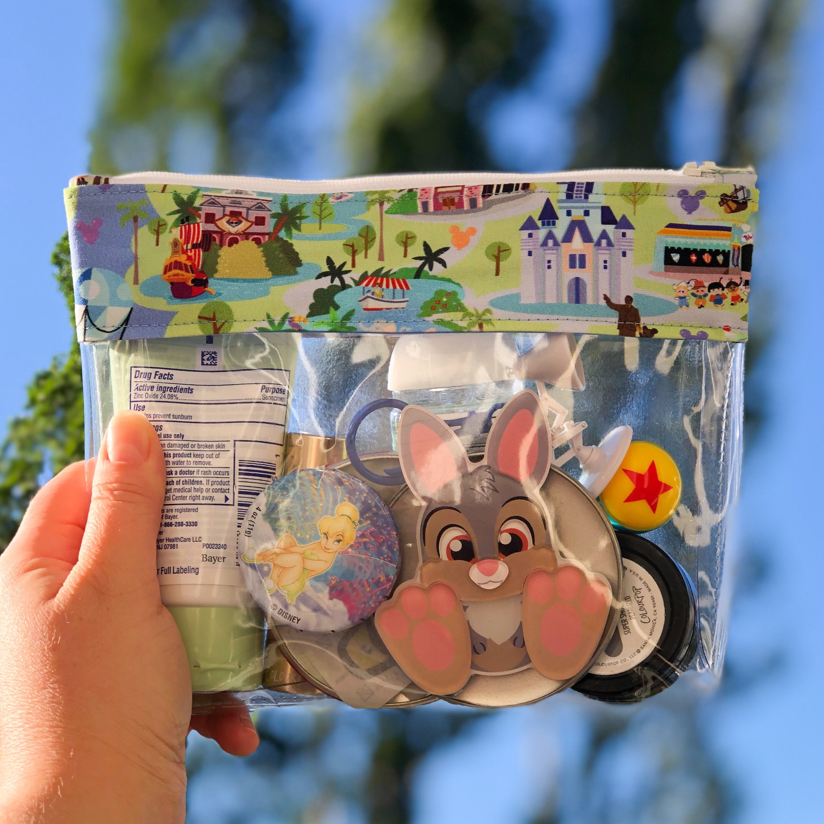 Park Essentials Bag Park Map Clear Travel Bag Disney Etsy
