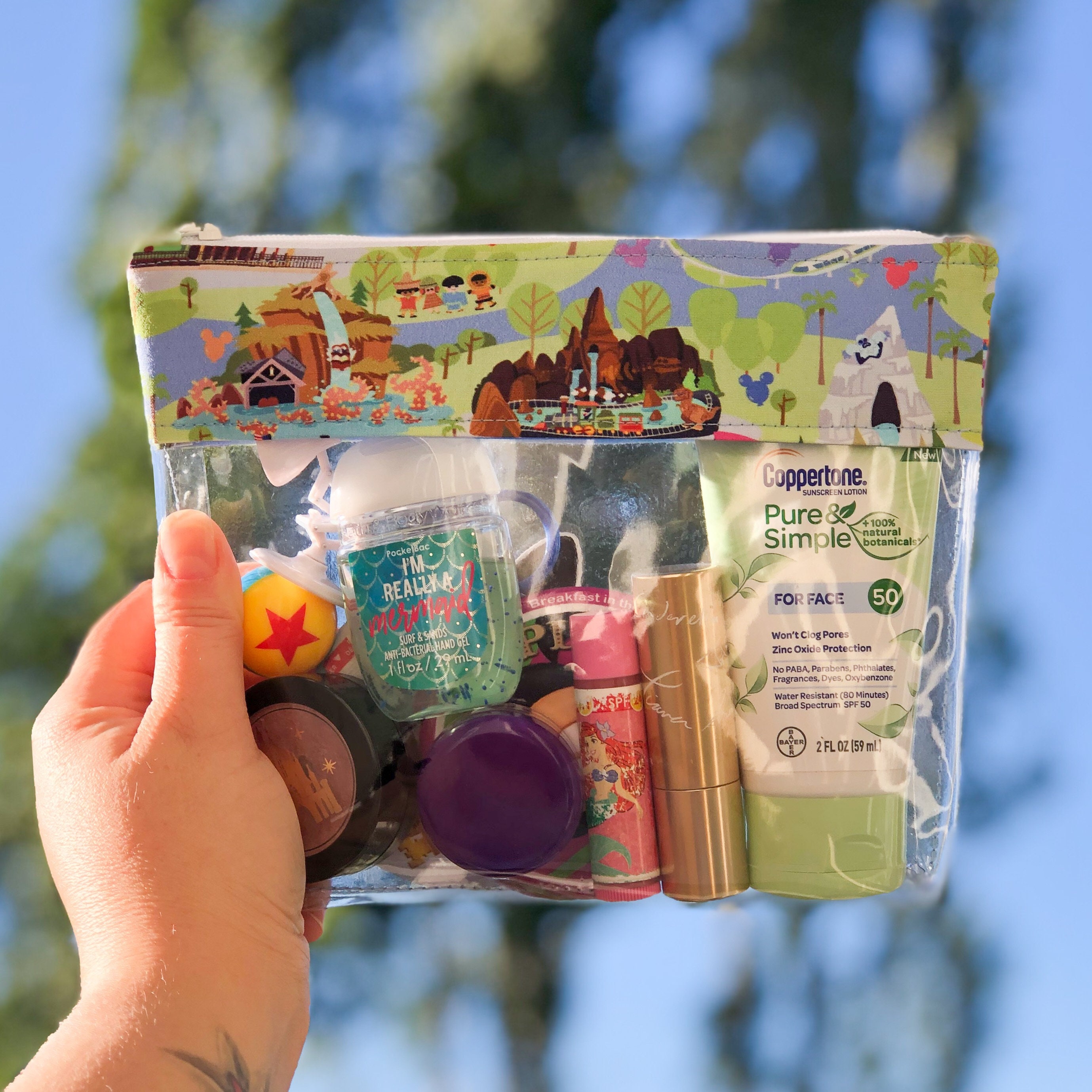 Park Essentials Bag Park Map Clear Travel Bag Disney Etsy