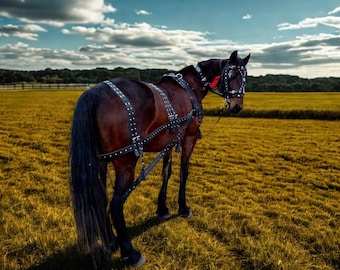 Handmade Leather Horse Driving Harness Set | Full Working Harness with Bridle, Collar, Breeching, Traces & Reins