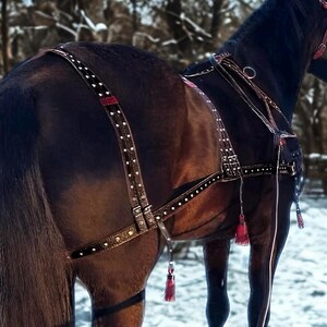 May include: A close-up of a dark brown horse wearing a black leather harness with white dot accents. The harness has red accents and decorative tassels. The horse is standing in a snowy environment.