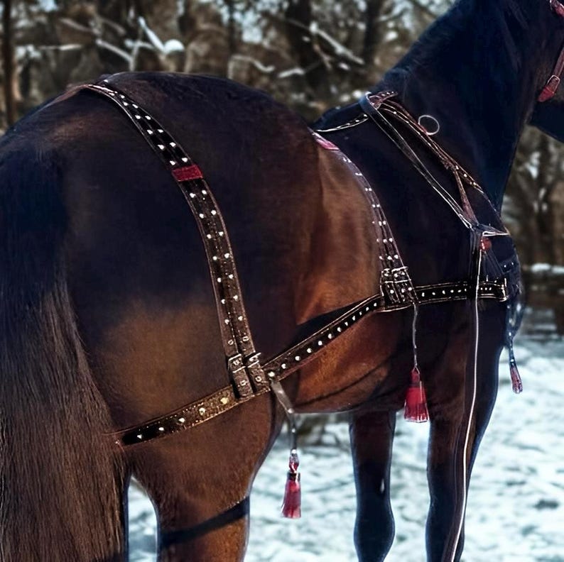 May include: A close-up of a dark brown horse wearing a black leather harness with white dot accents. The harness has red accents and decorative tassels. The horse is standing in a snowy environment.