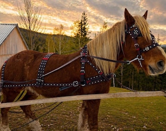 Leather Horse Driving Harness Set, Carriage Tack, Handmade Draft Horse Harness